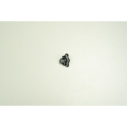 PDRM COLLAR BADGE OFFICER PIN METAL